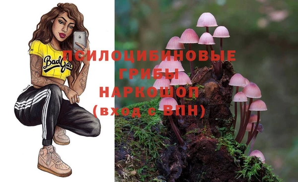 крисы Протвино