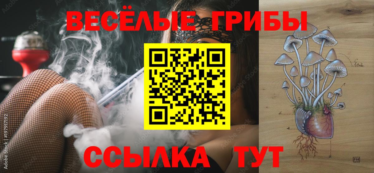 Кумертау  Галлюциногенные грибы Cubensis  Вход с VPN 