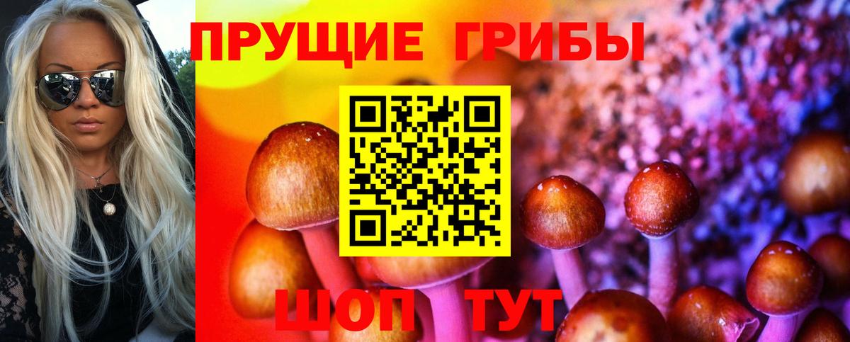 Галлюциногенные грибы GOLDEN TEACHER Кумертау